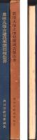 豊田大塚古墳発掘調査報告書（愛知県）