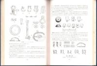 豊田大塚古墳発掘調査報告書（愛知県）