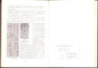 豊田大塚古墳発掘調査報告書（愛知県）