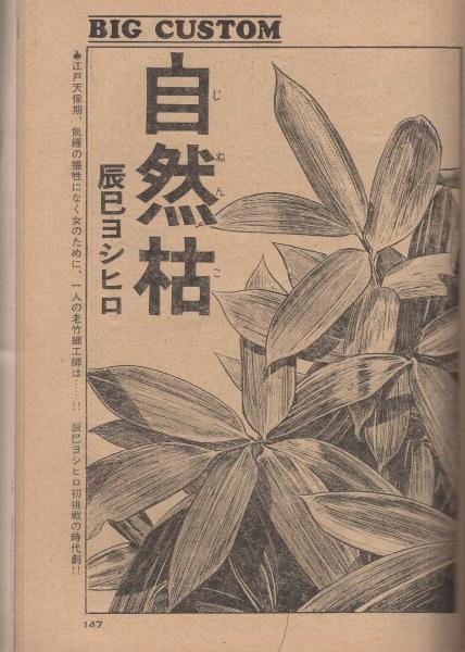 ビッグコミック 昭和49年25号 昭和49年11月10日号 表紙画 日暮修一 平野仁 文 近談奇談 毎朝マラソン 読切 長谷川法世 写真とります 辰巳ヨシヒロ 自然枯 連載 さいとう たかを 手塚治虫 望月三起也 篠原とおる 石森章太郎 伊東古本店 古本