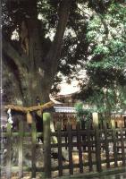 図説　森町史（静岡県）