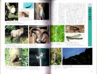 図説　森町史（静岡県）