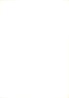 神内平古墳群　-2005年-（静岡県）