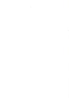 岡の平遺跡発掘調査報告書　-2005年-（静岡県）