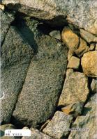 名古屋城石垣の刻紋　-続・名古屋城叢書2-（名古屋市）