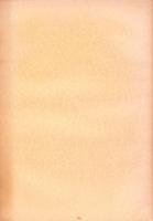 一宮市調査報告書　-第2次-　昭和38年8月10日（愛知県）