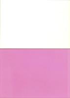 (音楽パンフレット）ayumi hamasaki 2001・2002 LIVE（浜崎あゆみ）