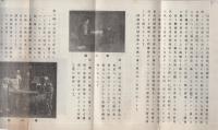 新案特許　家庭用撞球盤　(パンフレット)