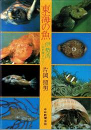 東海の魚　-伊勢湾と熊野灘を中心に-