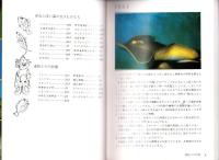 東海の魚　-伊勢湾と熊野灘を中心に-