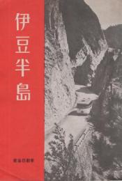 伊豆半島　(静岡県)