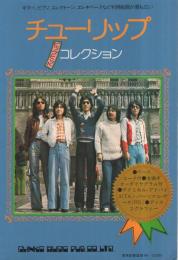 チューリップ・ビッグヒット・コレクション　メロディー新書