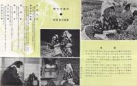西尾茶　（愛知県西尾市）