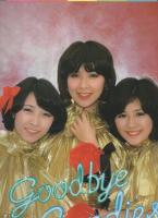 キャンディーズ 1978年 解散当時写真集・パンフレット お宝セット