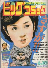 ビッグコミック　昭和59年11号　昭和59年6月10日号　表紙イラスト・日暮修一