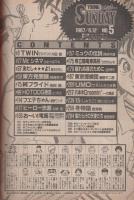ヤングサンデー　5号　昭和62年6月12日号　表紙3Dイラスト・野崎一人