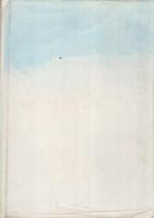 金さん暴れ笠　書下し時代長篇