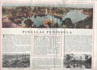 （原書）PINELLAS COUNTY FLORIDA (フロリダ州ピネラス郡）