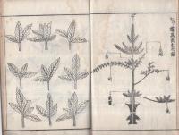 立花当用集　全
