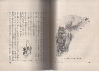 新訳絵入　ロビンソン漂流記