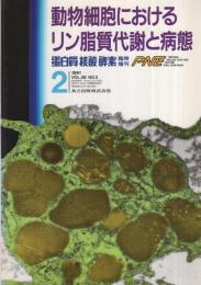 動物細胞におけるリン脂質代謝と病態　蛋白質・核酸・酵素臨時増刊　平成3年2月