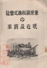 東京鋼材株式会社の現在及将来