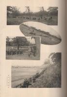 育商　1931　昭和6年3月　（育英商業学校卒業記念写真帖・名古屋市）