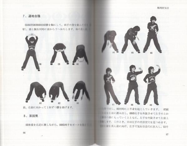 郭林気功と鶴翔ショウ: ガンに挑む医療効果の高い健康法 | 余