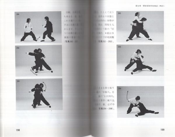 呉氏開門八極拳 ADVANCE Vol.2 真法八極拳 全2