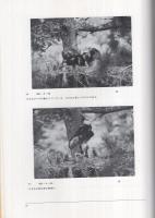 三重県鳥類の分布と生態　‐記録・生態写真集‐　1983