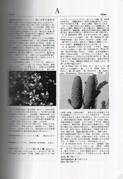 最新園芸大辞典 全13冊 / 古本、中古本、古書籍の通販は「日本の