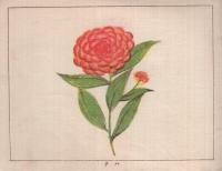 クレイヨンスケッチ　第一編　THE CRAYON BOOK　自由写生画