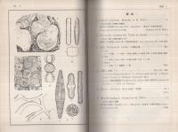 「東亞古植物分類図説」「(東亞古植物分類図説)別冊図版」　全2冊一函入