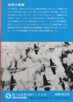 戦略大爆撃　米重爆と独戦闘機の死闘　第二次世界大戦ブックス97