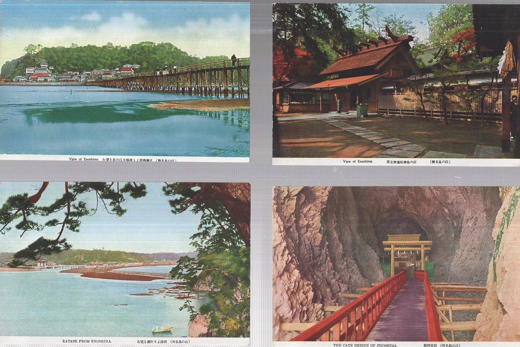 高価値セリー 絵葉書） 江之島名勝絵葉書 伊東古本店 / （神奈川県） 袋付5枚 絵葉書
