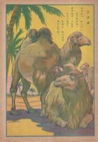 （絵本）　動物の世界　東京ブック