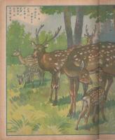（絵本）　動物の世界　東京ブック