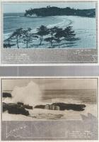 （絵葉書）　湯崎・白浜の美観　袋付全8枚揃　（和歌山県）