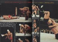 プロレス＆ボクシング　昭和46年6月号　表紙モデル・ジャイアント馬場、デストロイヤー、西城、柴田、小林、沼田、大場