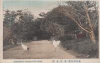 （絵葉書）　泉邸十賞　袋付9枚　(広島県)