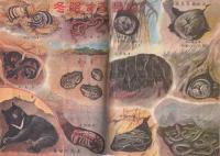 こども家の光　家の光昭和30年11月号　表紙画・沢田重隆「指人形」