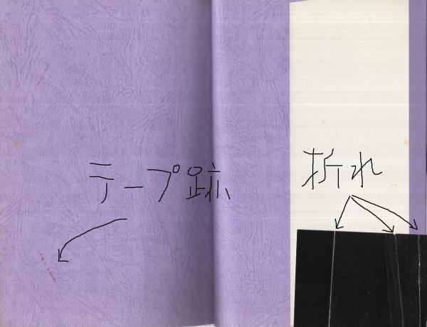 人造人間株式会社(石川英輔) / 古本、中古本、古書籍の通販は「日本の