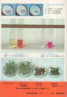 オール図解　消費者にできる食品簡易テスト