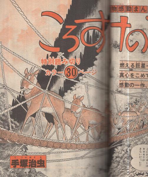 週刊少年サンデー 昭和53年8号 昭和53年2月19日号 表紙画・池上遼一