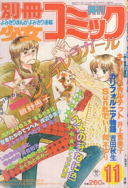 別冊少女コミック 昭和55年11月号 表紙画・飯野恵子(〈読切 渡辺