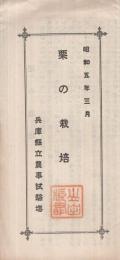 栗の栽培　昭和5年3月　（兵庫縣立農事試驗場）