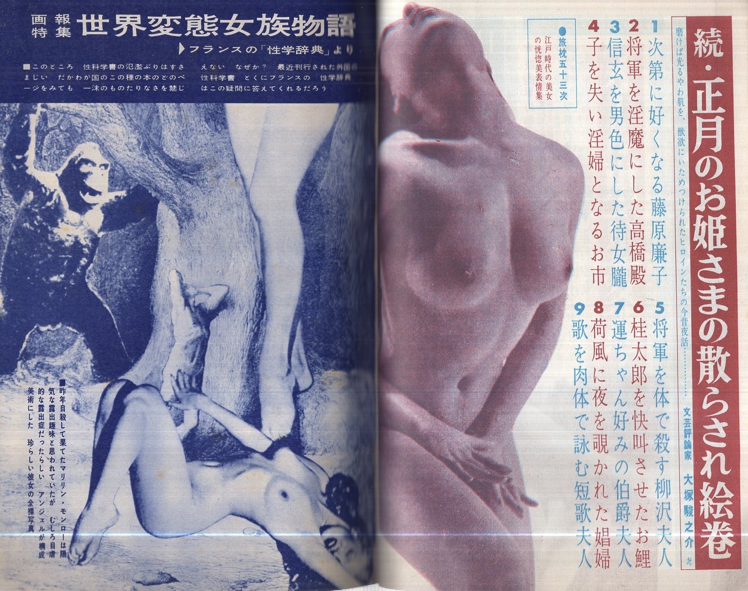 昭和裸 裸か美グラフ 昭和38年2月号(佐藤みどり「婦人探偵のメモより 三人の美女の一週間の素行表」5頁、豊原路子「変態女にされた檻の中の40日間  冷たい鉄格子の中で私の異常な生理が始まったのだ…」5頁、〈日本の秘密ショウのすべて 7頁〉、〈花咲けるゲイ道 モノクロ3頁 ...