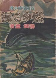 冒険探検小説　燃ゆる海