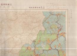 天竜・東三河総合開発地域土地利用図　三河大野（愛知県）