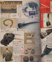 週刊少年マガジン　昭和56年20号　昭和56年4月29日号　表紙画・川三番地「おれは万太夫」